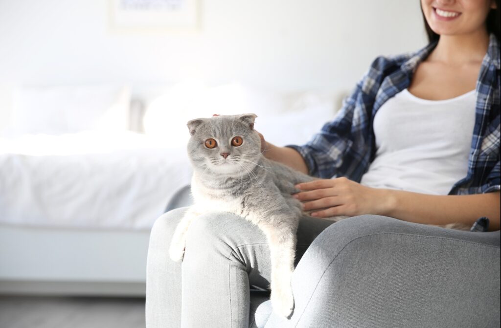 猫とリラックする女性